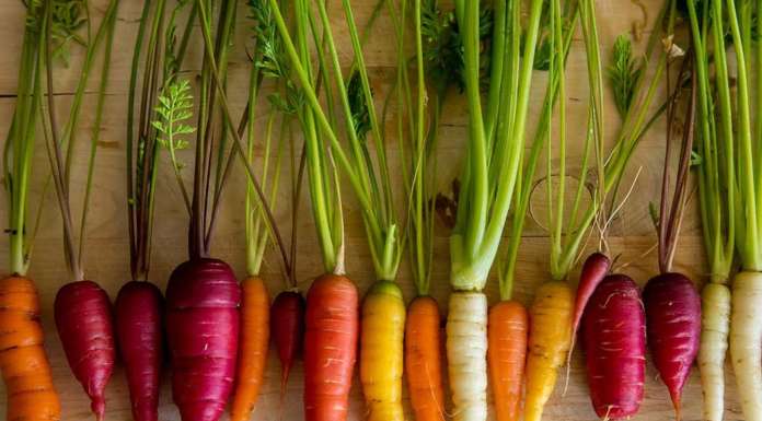 FAO: “Lo stato della biodiversità mondiale per l’alimentazione e l’agricoltura”