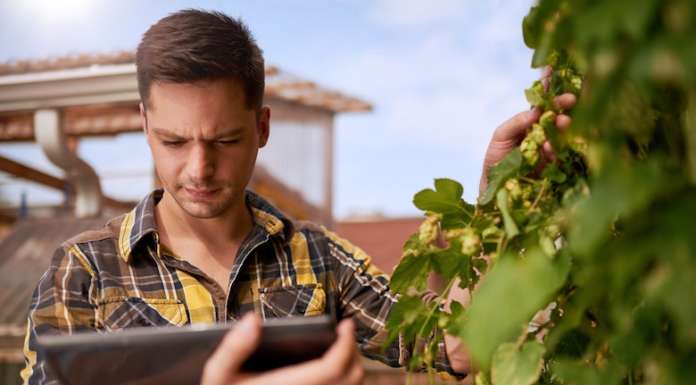 La Fao istituisce due premi per giovani agricoltori: per l’innovazione e per l’agricoltura sostenibile