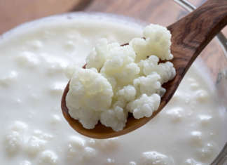 granuli di kefir