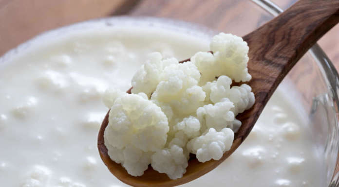 I benefici importanti del kefir ottimo anche in cucina granuli di kefir