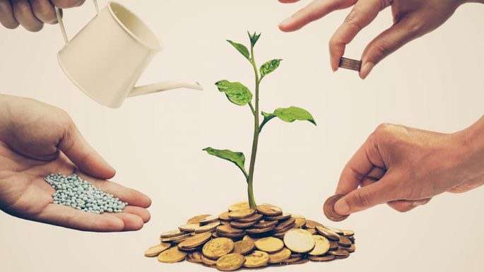 Finanza etica e filiera Bio: un patto per un’agricoltura sostenibile