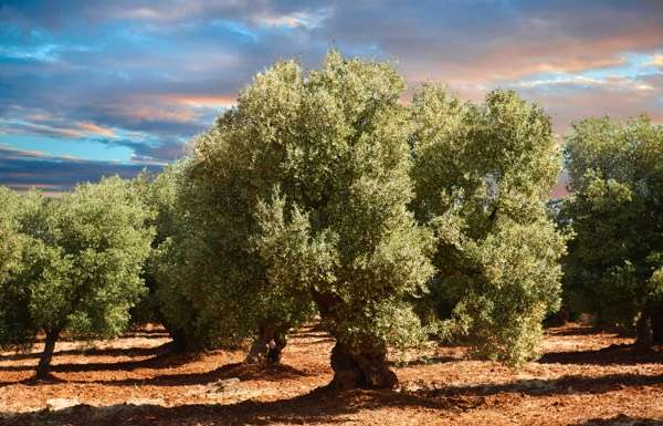 Arriva il Premio Biol