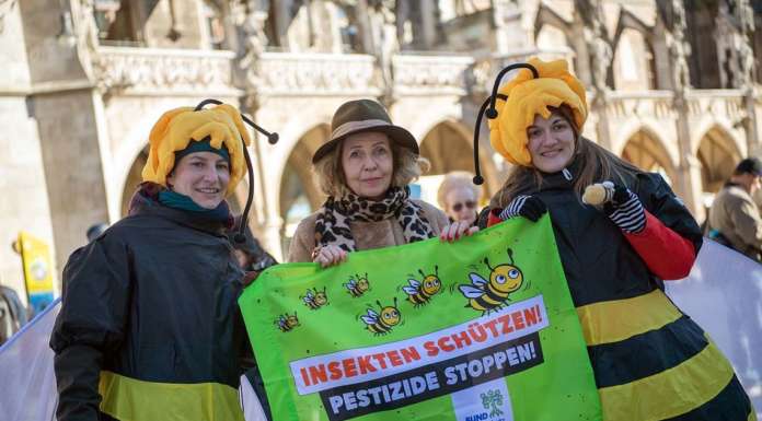 Baviera: raccolte un milione e 745mila firme per un referendum salva api