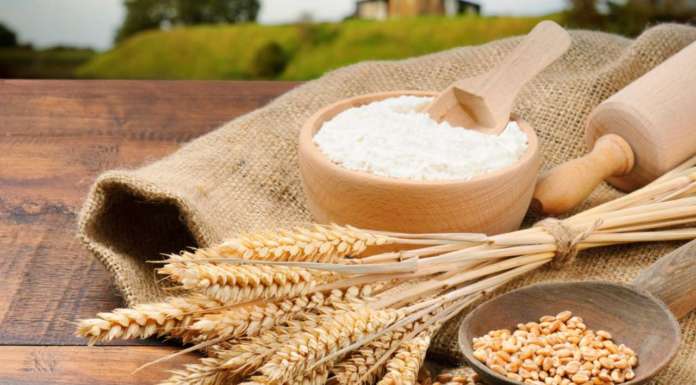 Più aflatossine nelle farine biologiche? E’ una frottola! Risponde Roberto Pinton di Assobio: ecco i dati e i documenti