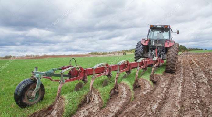 E’ necessario accelerare l’iter di approvazione del Disegno di Legge sull’agricoltura biologica