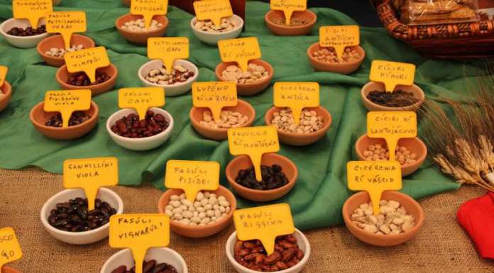 FAO, allarme biodiversità: è a rischio il futuro dei nostri alimenti