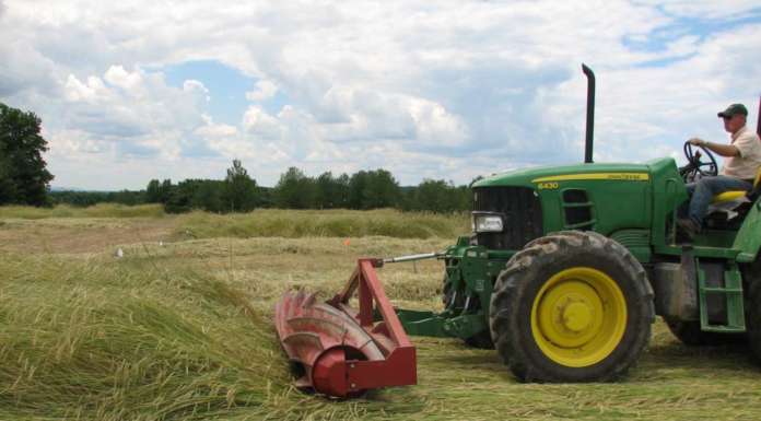 Entro il 2050, con agroecologia e biologico, si può nutrire l’Europa
