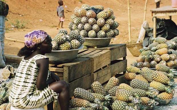 L’ananas biologico al centro di un progetto di sviluppo in Togo, con il sostegno della cooperazione italiana