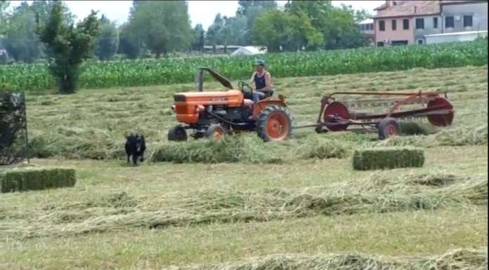 I progetti di ricerca del CREA per prevenire, mitigare, e contrastare gli effetti del cambiamento climatico