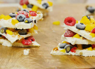 Un dessert bello, light e sano. Il frozen yogurt casalingo alla frutta è da provare!