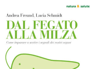 Dal fegato alla milza
