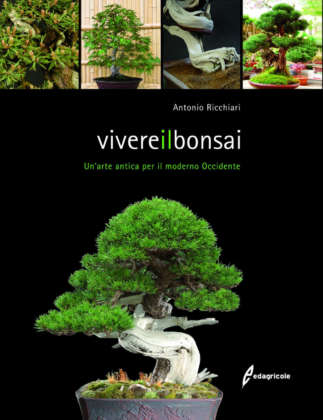 Vivere il bonsai