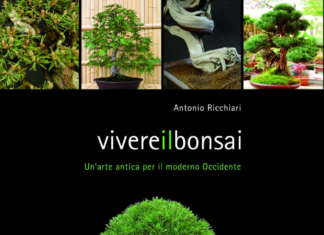 Vivere il bonsai