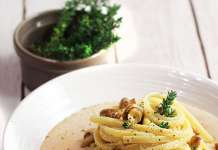 Pasta champignons su vellutata di cannellini