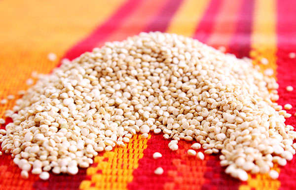 Quinoa, conosciamola e cuciniamola al meglio!