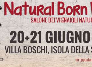 La fiera dei vignaioli naturali (VR)