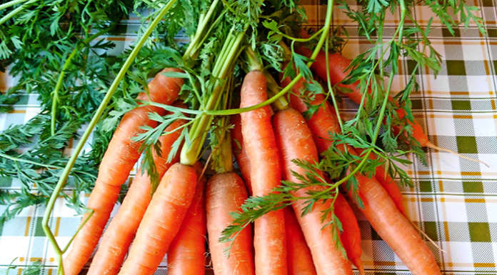 Carote e pesce, sapete accoppiarli con gusto e salute?