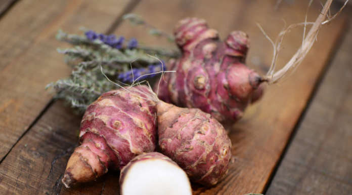 Topinambur e pesce, coppia vincente topinambur