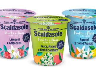 Yogurt senza lattosio
