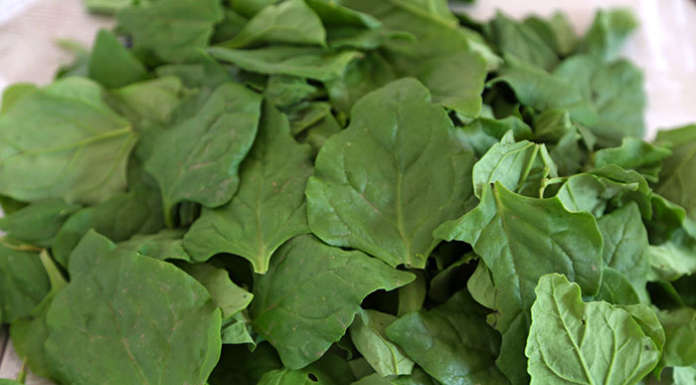 Un bel cesto di spinaci e le loro virtù in cucina