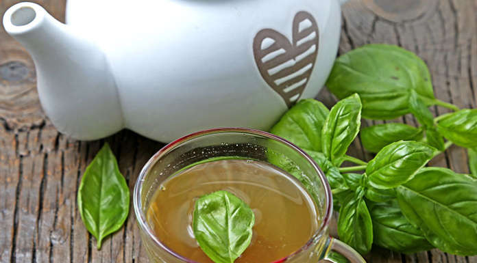 Ma che buono il basilico in tisana!!!