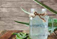 aloe da bere benefici