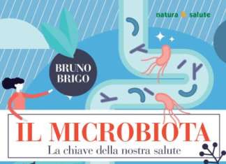 Il Microbiota microbiota