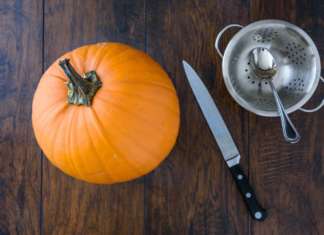 zucca
