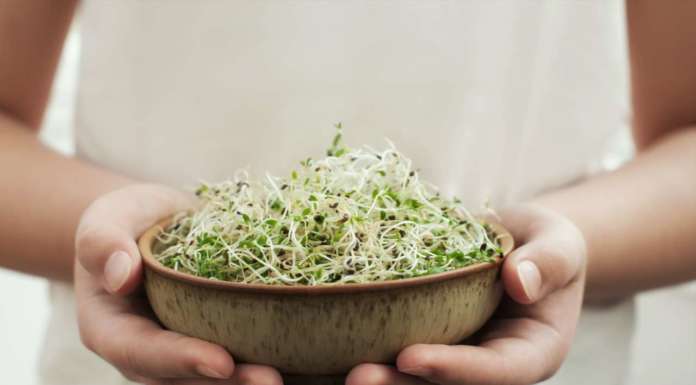 Facciamo germogliare un anno più bello (e sano)