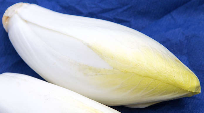Witloof, una belga in cucina