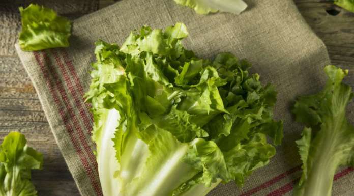 Scarola, che alleata per la dieta!