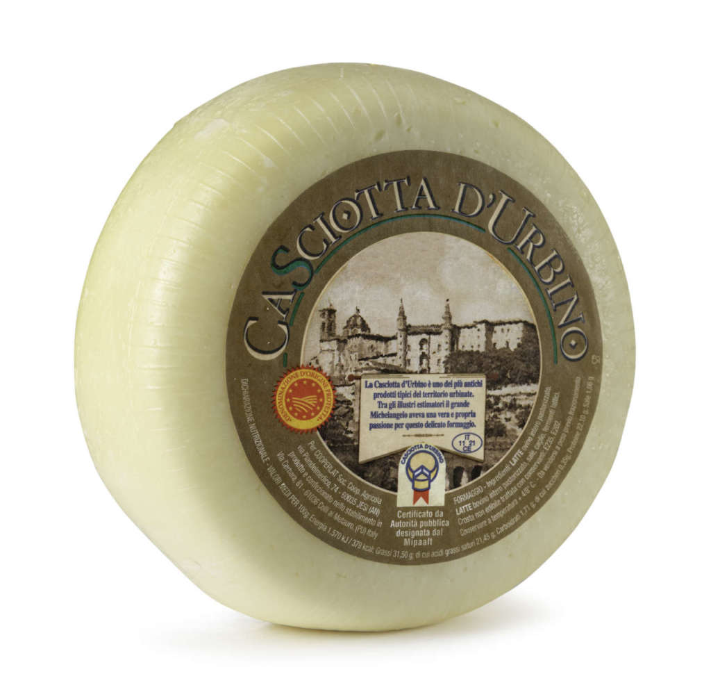 forma di formaggio marchigiano Casciotta d'Urbino Dop