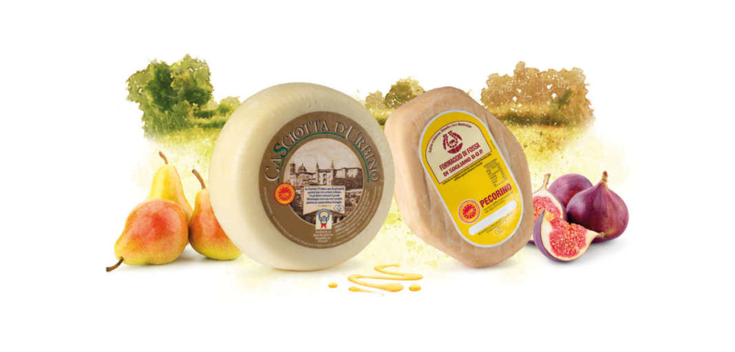 Casciotta d'Urbino e Formaggio di fossa