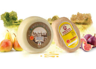 Casciotta d'Urbino e Formaggio di fossa