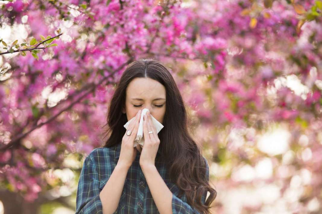 allergie