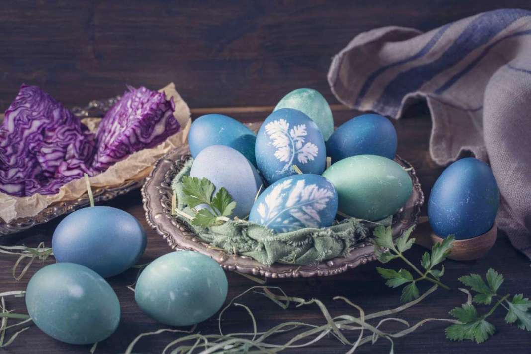 Blue and greenish blue natural colored Easter eggs.
