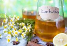kombucha
