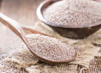 Cos’è la farina di psillio e perché funziona negli impasti senza glutine psillio