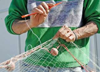Slow Fish: in Liguria, prima in digitale e poi dal vivo