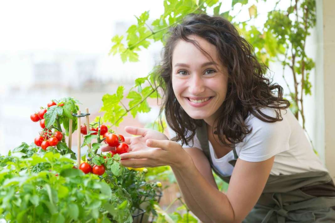 pomodori