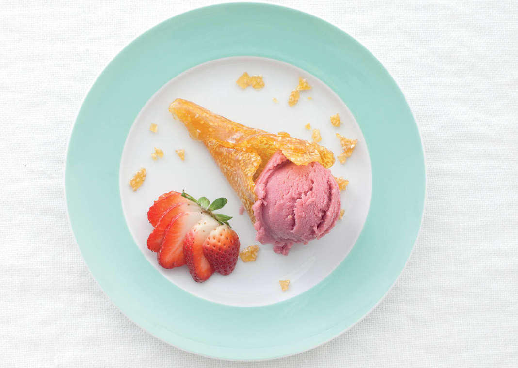 gelato vegano