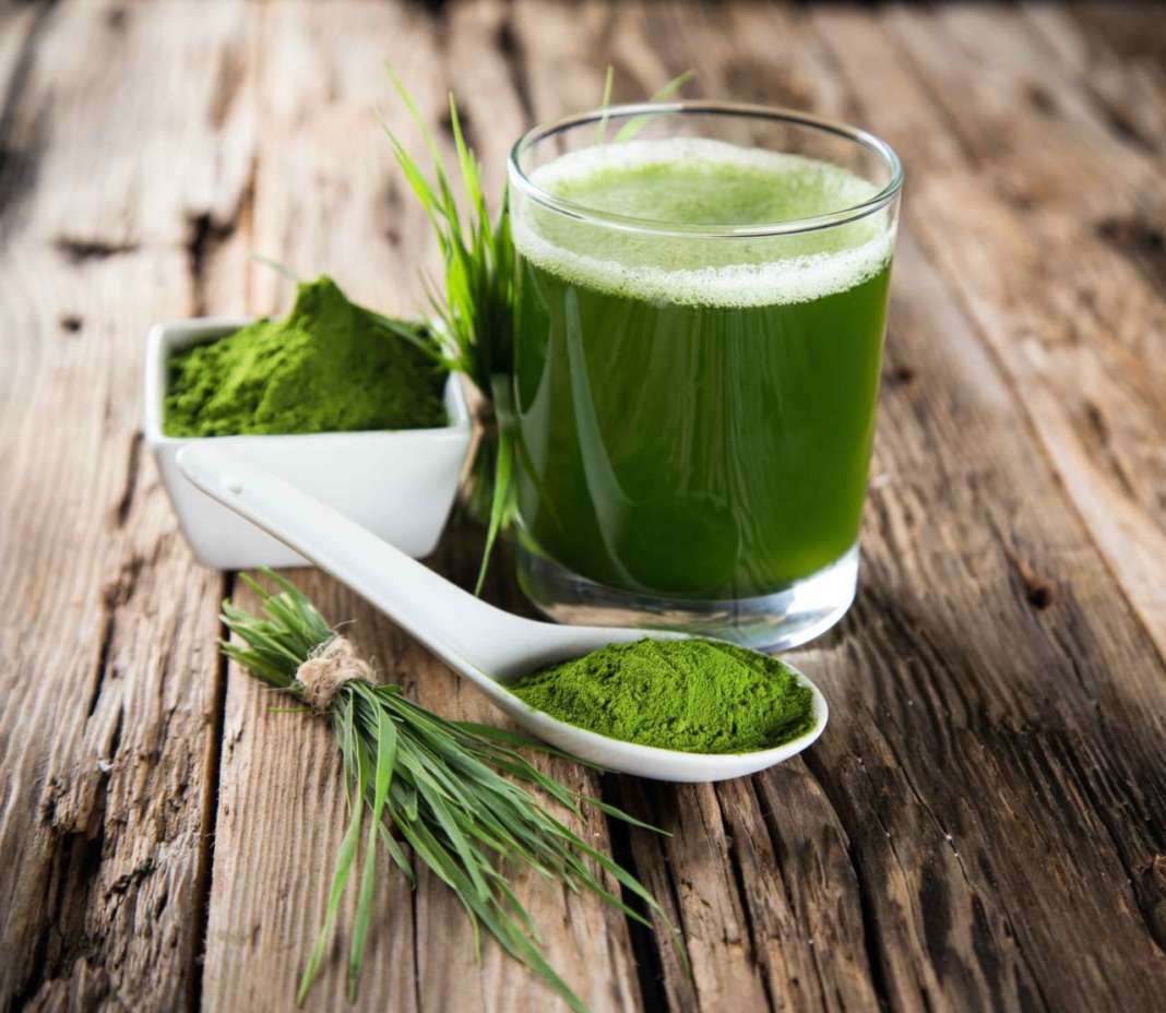 spirulina