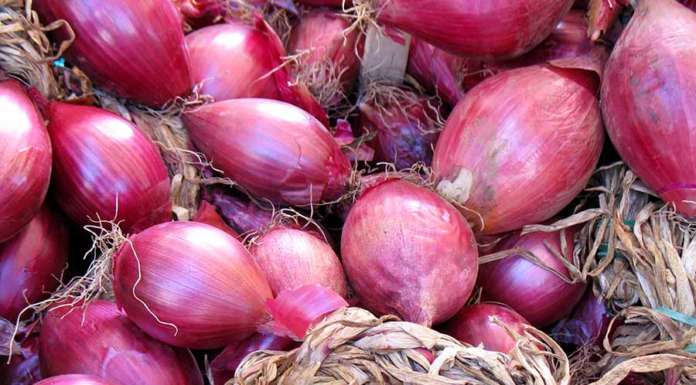 La salutare cipolla rossa di Tropea buonissima anche a crudo