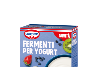 fermenti