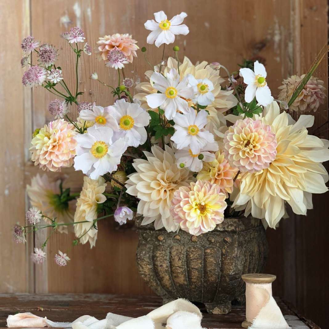 slow flower
