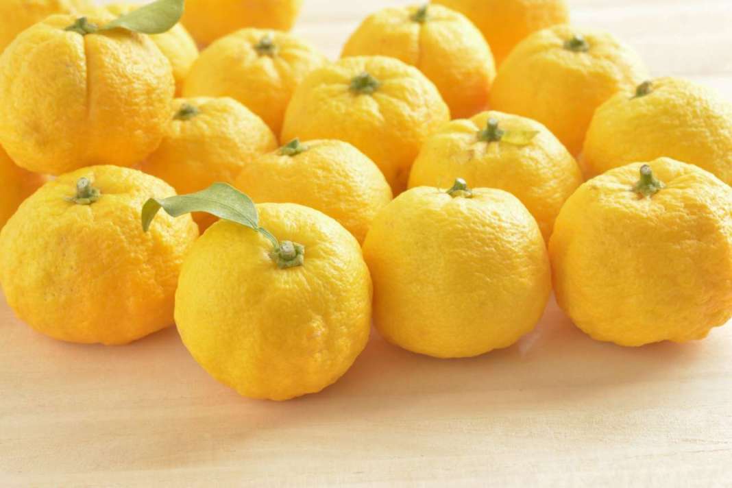yuzu