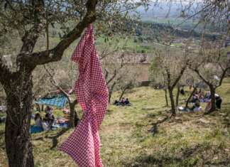 Pic & Nic a Trevi. Arte, musica e merende tra gli ulivi Pic nic Trevi