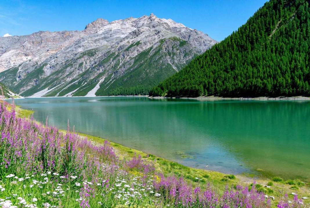 livigno
