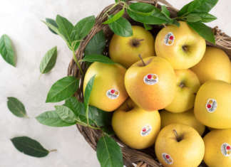 La bontà inconfondibile delle mele
