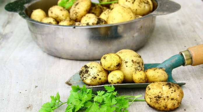 Patate in cucina: così sono ok per la glicemia